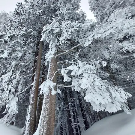 Lägenhet Ferienwohnung Camanaboda Camanaboda