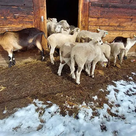 Ferienwohnung Camanaboda
